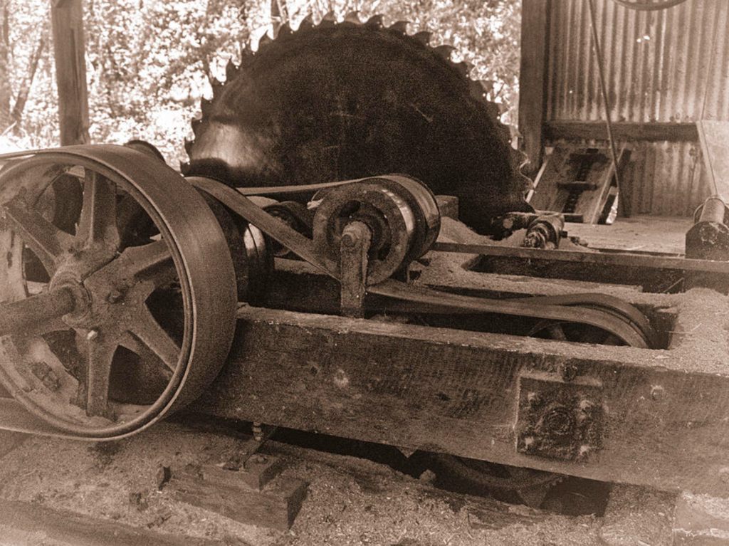 BTG Pactual Timberland Investment Group and BCI Create Caddo